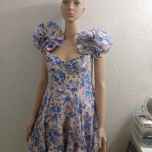 Bardot Blue and White Floral Mini Dress